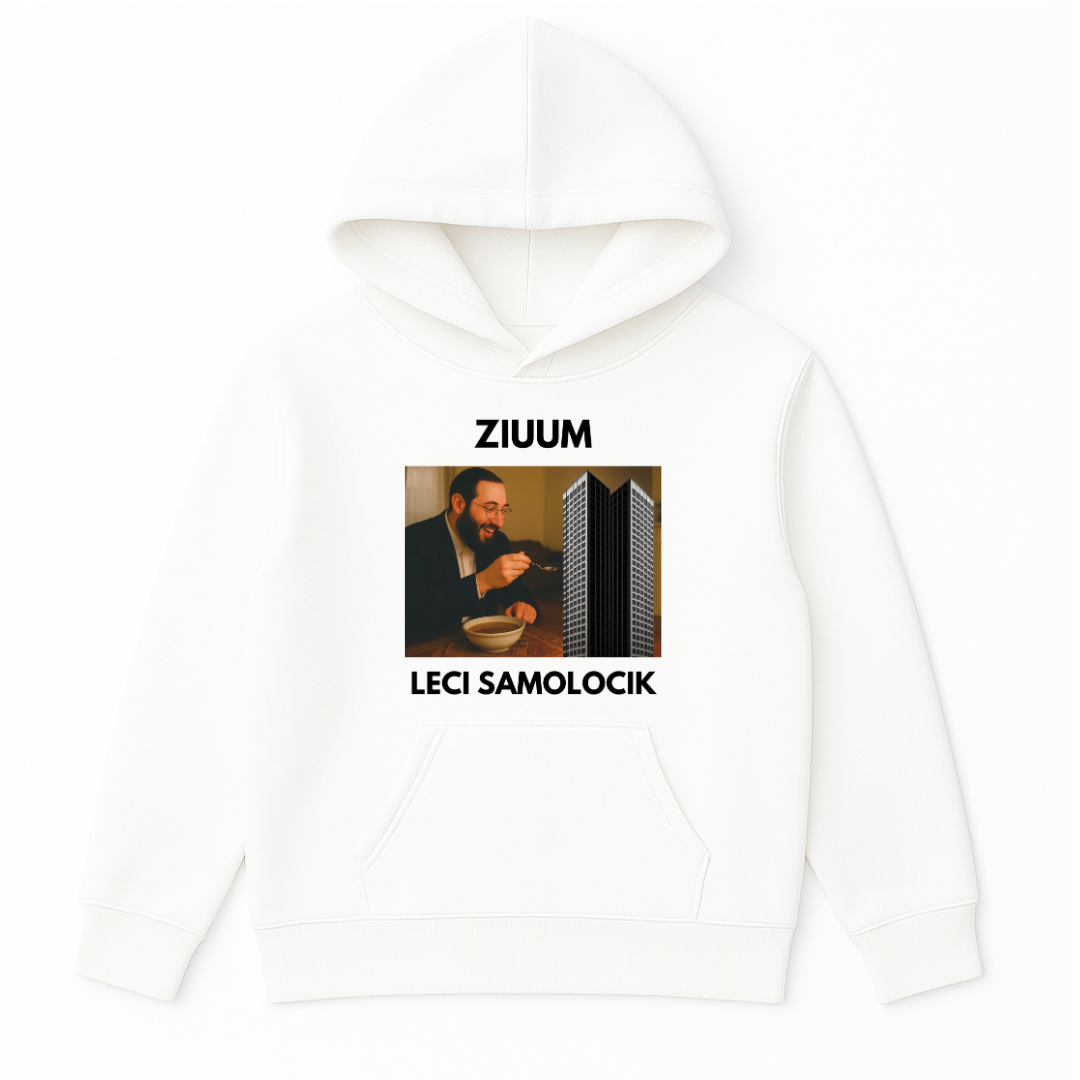 BLUZA ZIUUM LECI SAMOLOCIK