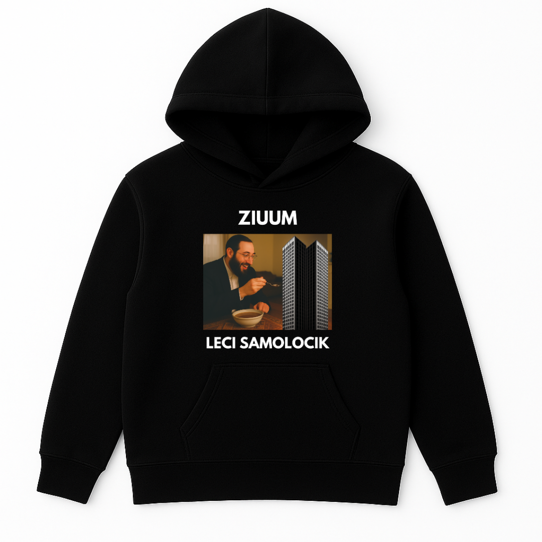 BLUZA ZIUUM LECI SAMOLOCIK